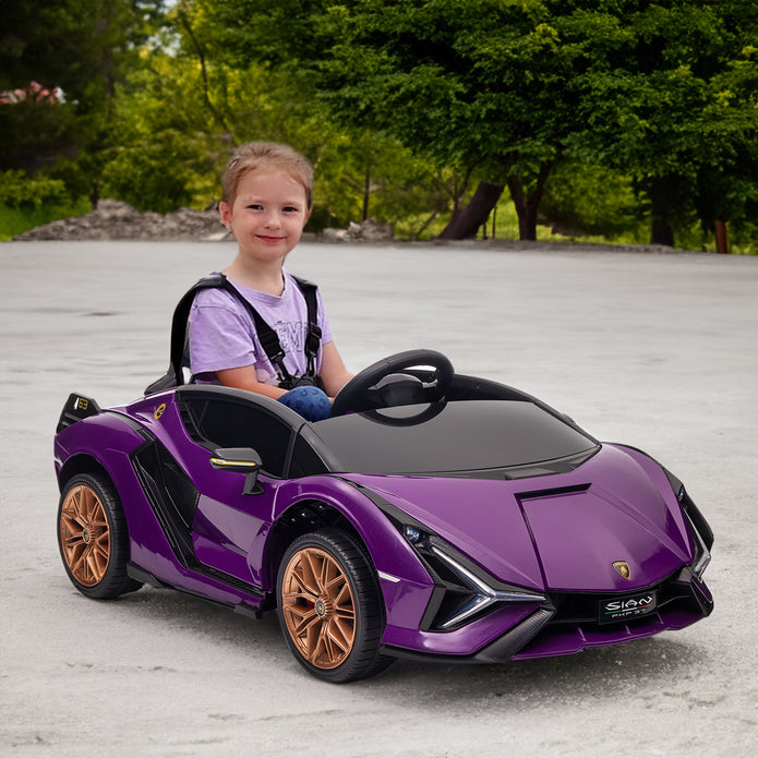 Lamborghini SIAN FKP 37 12V Ride on Car On Seater with Scissor Doors